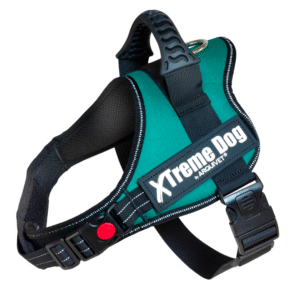xtremedogl