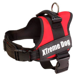 xtremedogm