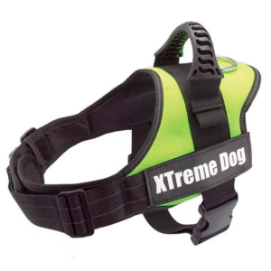 xtremedogs