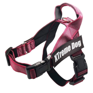 xtremedogversionpeques