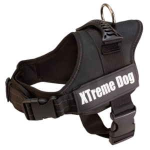 xtremedogxl