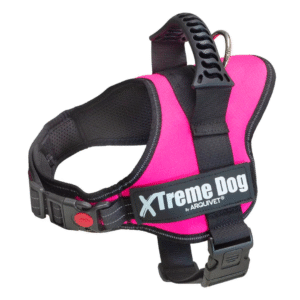 xtremedogxs