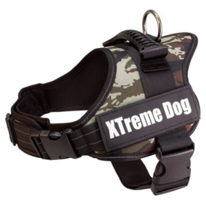 xtremedogxxl